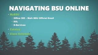 prism bsu|Online Services .